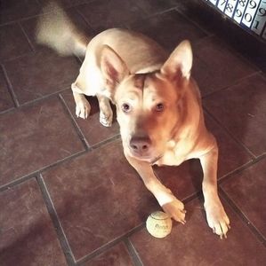 Meet your Posher, Janet